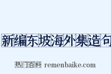新编东坡海外集造句是什么意思的图片